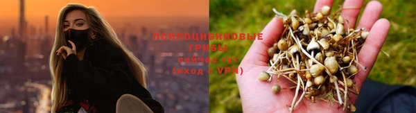 мескалин Алзамай