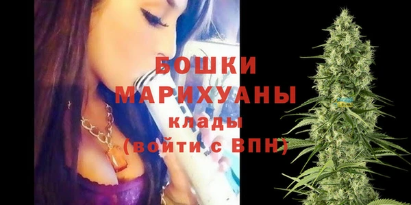 ПСИЛОЦИБИНОВЫЕ ГРИБЫ Ельня
