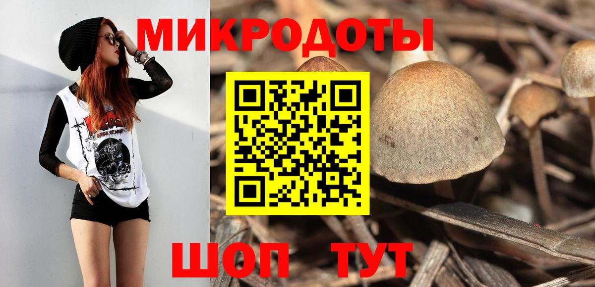 Галлюциногенные грибы Psilocybe  Вход с VPN  Астрахань 